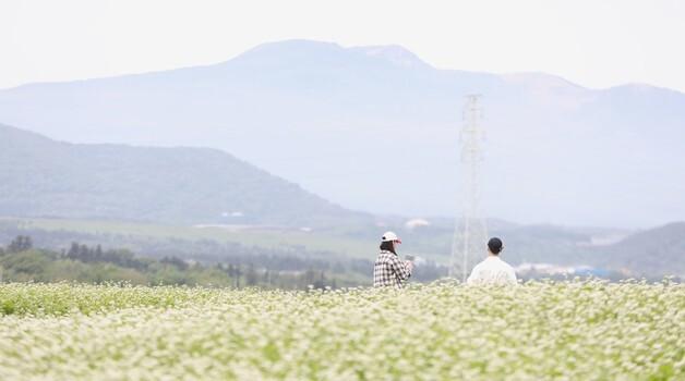 [오늘의 날씨]제주(6일, 목)…대체로 맑음, 밤부터 흐림