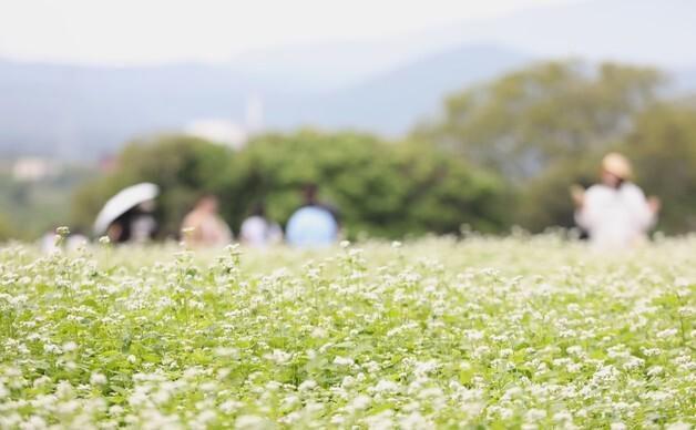 [오늘의 날씨]제주(20일, 화)…낮 최고 26도 밤부터 '비'