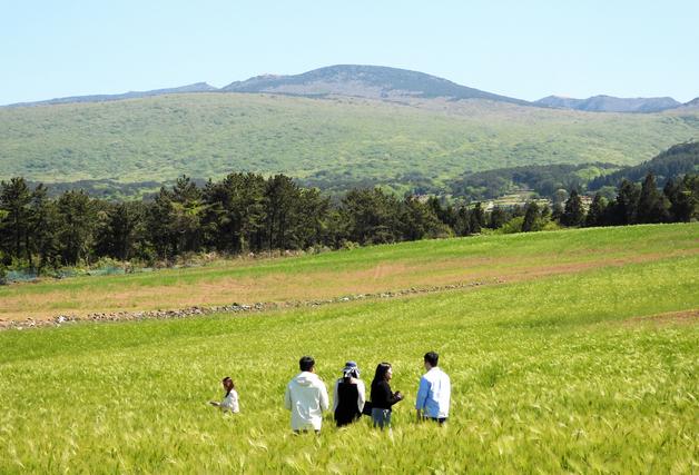 [오늘의 날씨] 제주(11일, 일)…구름 많다 맑아져, 낮 최고 21도