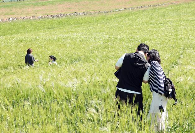 [오늘의 날씨] 제주(5일, 월)…흐리고 오후부터 비