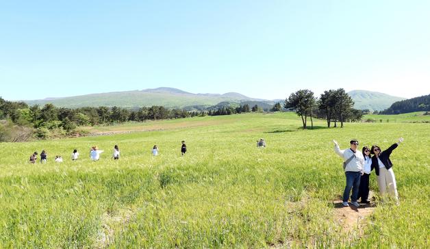 [오늘의 날씨] 제주(7일,수)…대체로 맑음