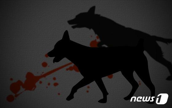 판사마저 "인간이 할 짓이냐"…야생동물 160마리 잔혹 사냥 어땠길래