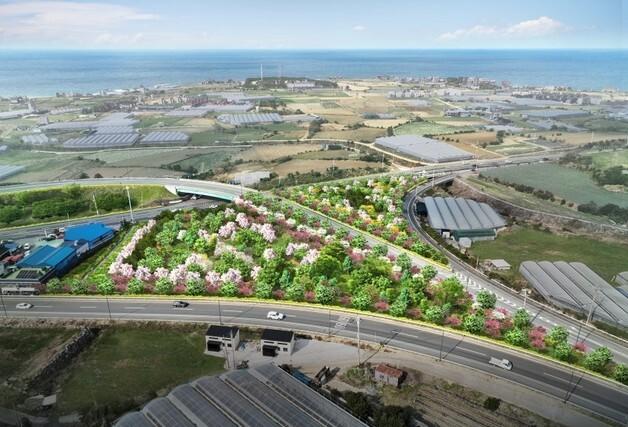 제주 애월읍 구엄교차로에 1.5ha '기후대응 도시숲' 조성된다