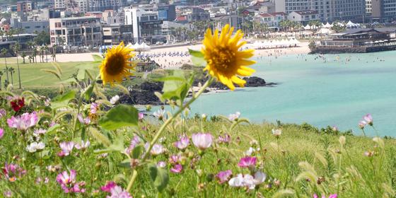 [오늘의 날씨]제주(25일, 금)…밤부터 해안가 높은 물결 주의
