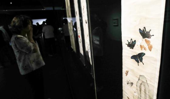 '석주명이 사랑한 그림 속엔 어떤 나비가?' 국립제주박물관 특별전
