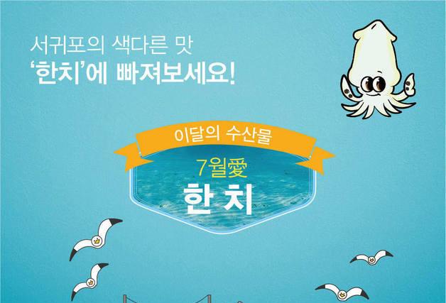 서귀포 '7월의 수산물' 한치 선정