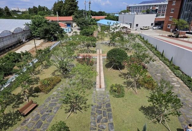 제주시, 학교숲 조성사업 대상학교 신청…6000만원 지원