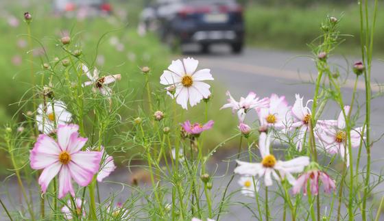 [오늘의 날씨]제주(30일, 목)…구름 많고 낮 최고 23도