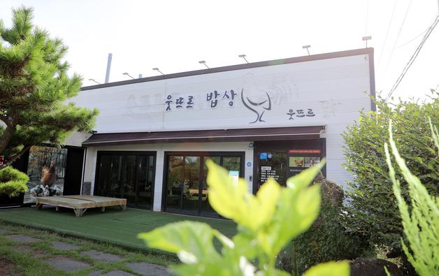 설움의 땅을 기회의 땅으로…마을 일구는 제주 '웃드르' 사람들