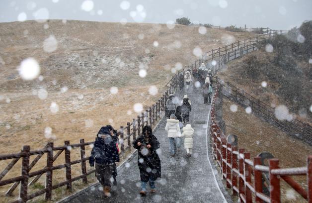 지붕 날아가고 차 미끄러지고…눈보라 휩싸인 제주(종합)