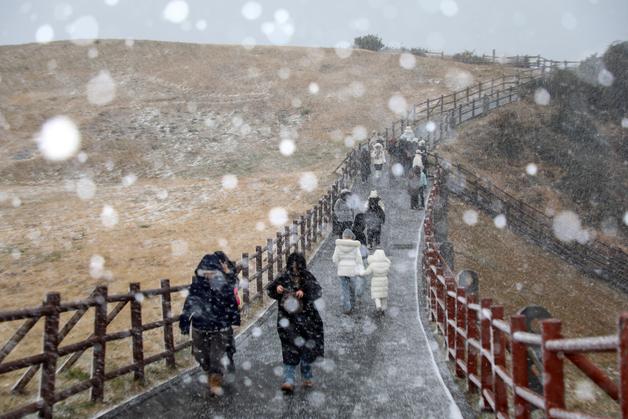 지붕 날아가고 차 미끄러지고…눈보라 휩싸인 제주(종합)