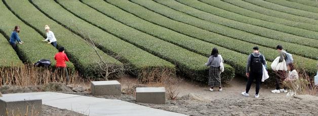 [오늘의 날씨]제주(18일, 수)…대체로 맑음