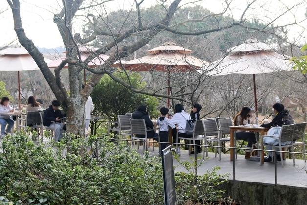 '방문객 20% 증가' 제주 관광 호조…도, "비수기 없는 사계절 관광 구축"