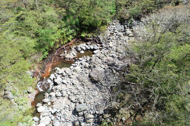 한라산 고지대 지하수의 비밀…'어리목계곡 용천수' 천연기념물 된다