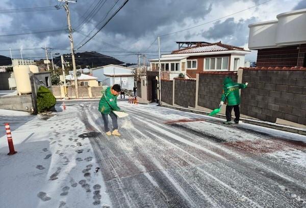 제주도, 한파·대설 대응태세 강화…20~25일 눈·강풍 예보
