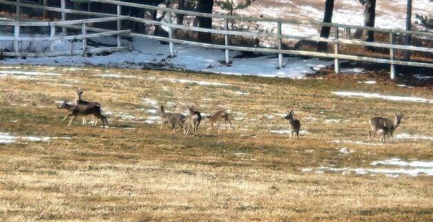 [오늘의 날씨]제주(26일, 월)…저녁부터 비, 산지엔 눈