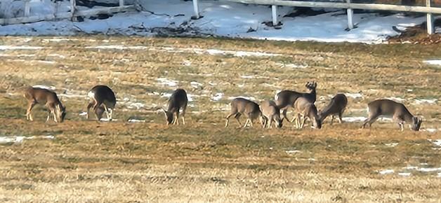 [오늘의 날씨]제주(25일, 일)…낮 최고 11도, 미세먼지 '좋음'
