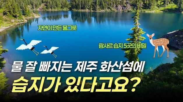 "물 잘 빠지는 제주에 습지가?"…제주 이해 교육 영상 6편 공개
