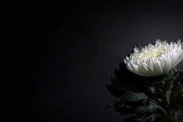 [부고] 임성준 씨(세계일보 제주 주재기자) 부인상