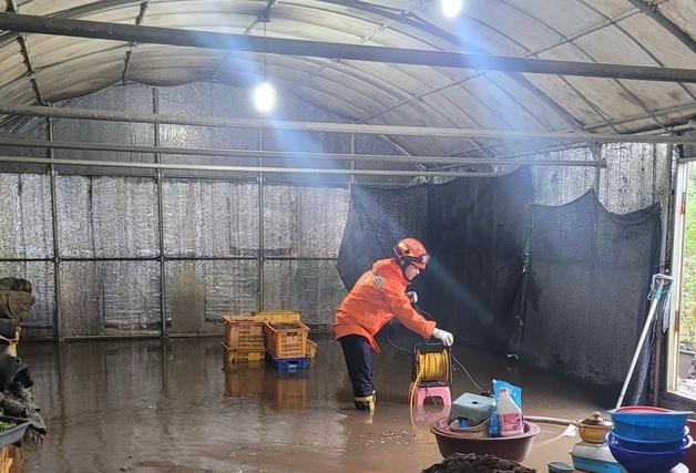 태풍 '참피' 근처도 안 왔는데…제주 한라산에 최대 215㎜ 비(종합)