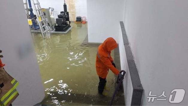 잠기고 쓰러지고…400㎜ 쏟은 태풍 '참피', 제주·남부 생채기(종합)