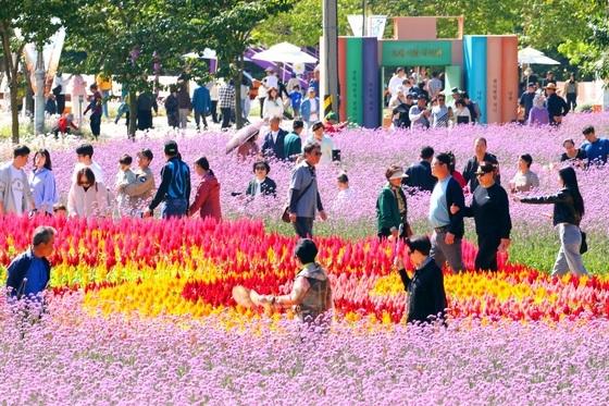 "단풍 보고, 빵 축제 즐기고, 부캉이 만나고"…가을 만끽 인파(종합)