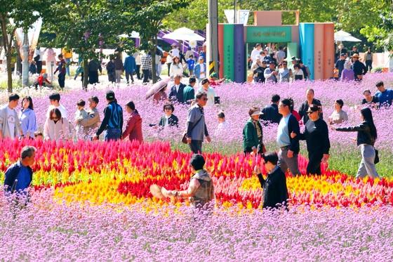 "단풍 보고, 빵 축제 즐기고, 부캉이 만나고"…가을 만끽 인파(종합)