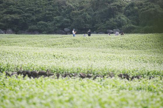 [오늘의 날씨] 제주(14일, 수)…낮 최고 22도, 맑지만 바람 '쌩쌩'