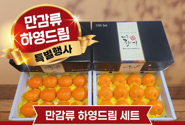 설 앞두고 '만감류 하영드림'…제주, 고향사랑기부제 답례품 특별행사