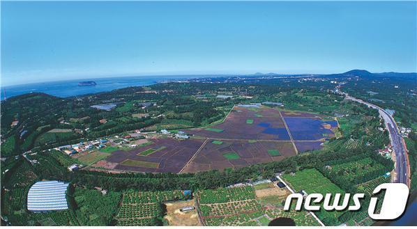 '생태계 타입캡슐' 하논분화구를 복합유산으로…사유지 매입 나선다