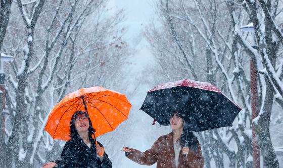 봄인줄 알았는데