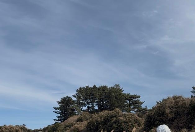 제주왔다 쓰러진 '백조의 호수' 큰고니, 야생의 품으로