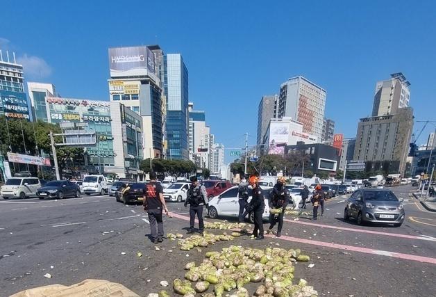 시내 한복판에 월동무 2톤 '와르르'…길 가던 시민도 정리 도와(종합)