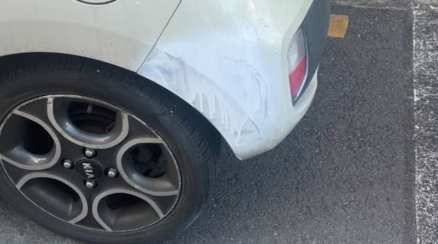 차 긁은 할아버지 미안해하며 '래커칠'…차주 "선의였지만" 결과는 '끔찍'