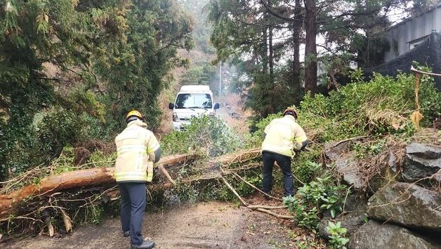 '초속 29.5m' 제주 전역 강풍 특보…가로등 쓰러지고 외벽 떨어지고