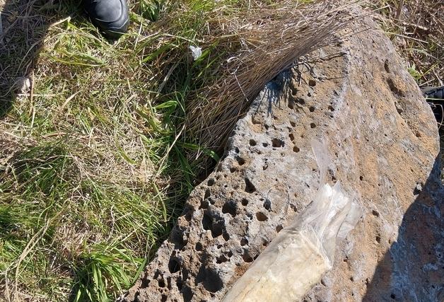 제주 해안서 '茶 봉지'위장한 마약 또 발견…20번째