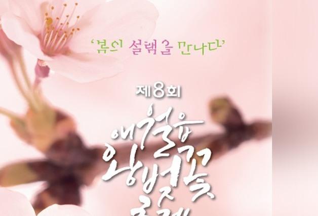 '봄의 설렘을 만나다'…28~29일 제주 애월읍 왕벚꽃 축제