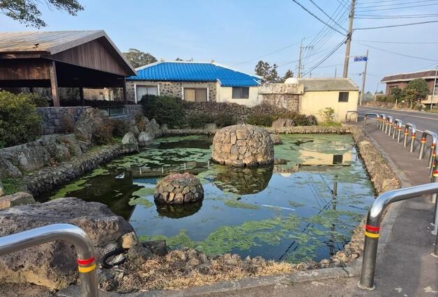 제주시 습지 8곳·용천수 12곳 '제주다움' 되살린다