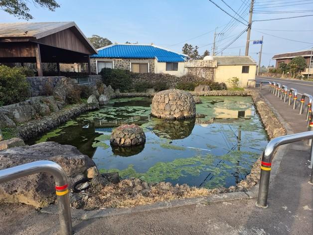 제주시 습지 8곳·용천수 12곳 '제주다움' 되살린다