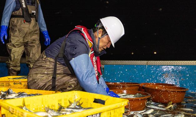 영덕 조업 현장 체험나선 정청래 대표