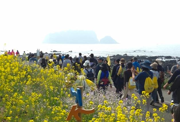 제주 봄꽃 축제마다 상춘객 붐벼…올해 관광객 300만명 돌파