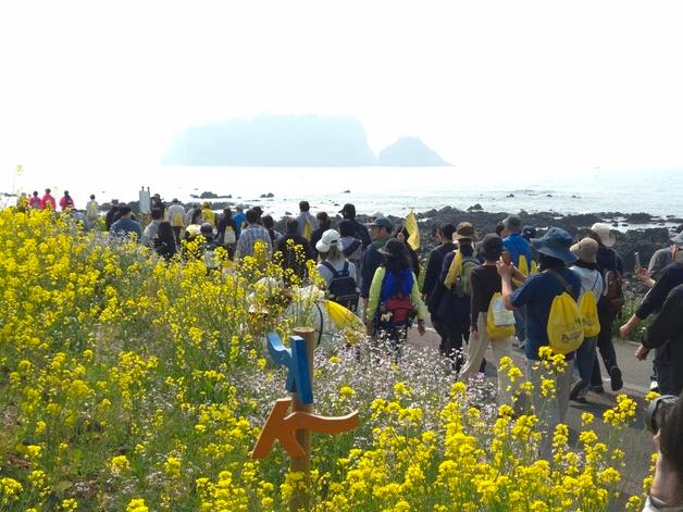 제주 봄꽃 축제마다 상춘객 붐벼…올해 관광객 300만명 돌파