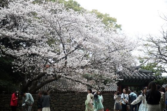 [오늘의 날씨] 제주(31일, 화)…흐리고 곳에 따라 돌풍