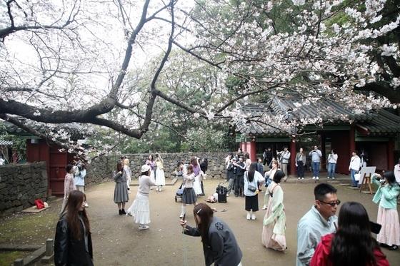 [오늘의 날씨]제주(24일, 금)…대체로 맑음·낮 최고 19도