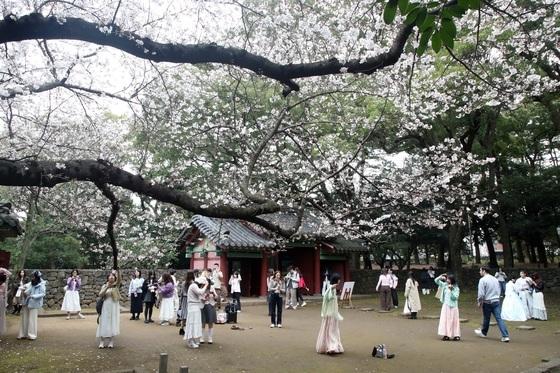 비행기값 너무 오르자 제주도 긴급 대응…5월 항공료 할인 유도