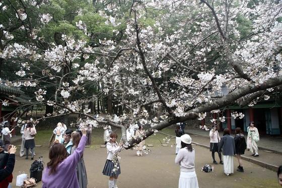 [오늘의 날씨] 제주(1일, 수)…흐리다가 저녁부터 차차 '맑음'
