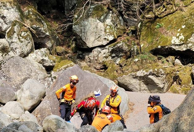 제주 숲길서 50대 등반객 5m 높이 추락…다리 골절