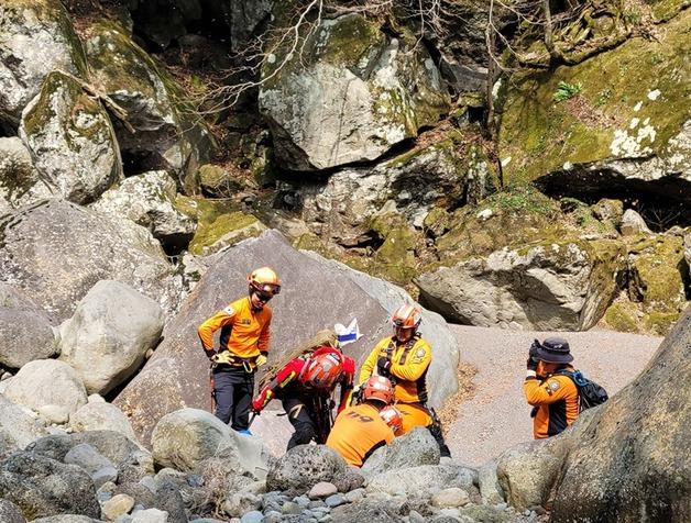 제주 숲길서 50대 등반객 5m 높이 추락…다리 골절
