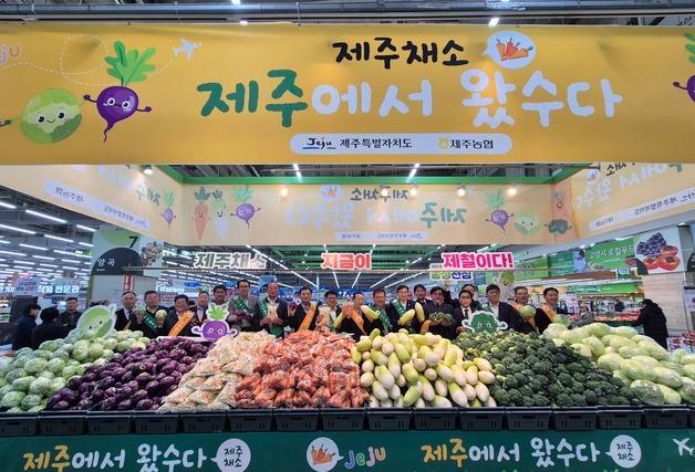 [제주경제소식] "지금이 제철…제주산 월동채소 맛봅서"