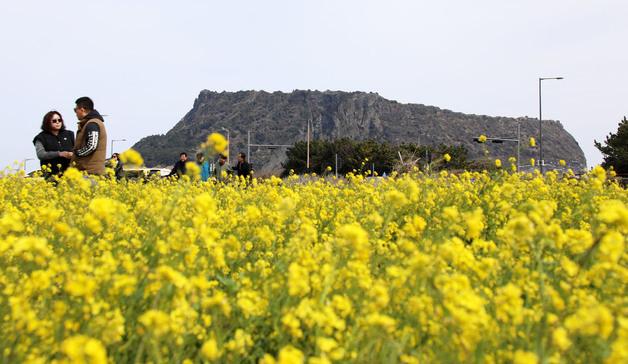 [오늘의 날씨] 제주(10일, 화)…아침 기온 1~4도